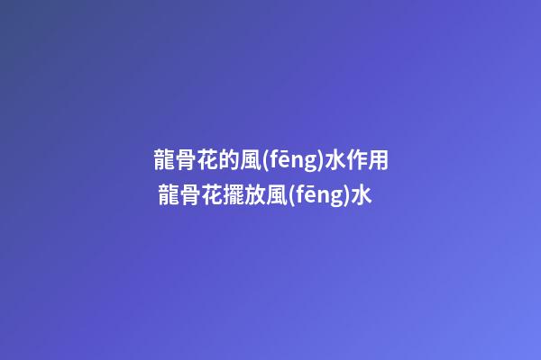 龍骨花的風(fēng)水作用 龍骨花擺放風(fēng)水